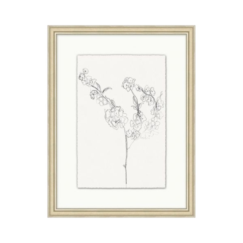 “Floral Sketch” Framed Art Print