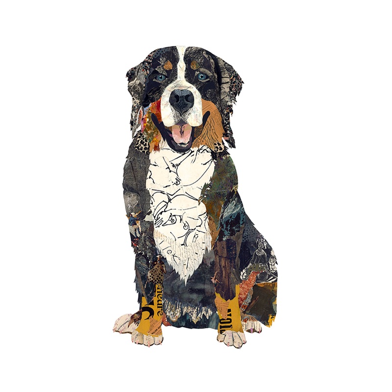 “Max – Bernese Mountain Dog” Archival Print