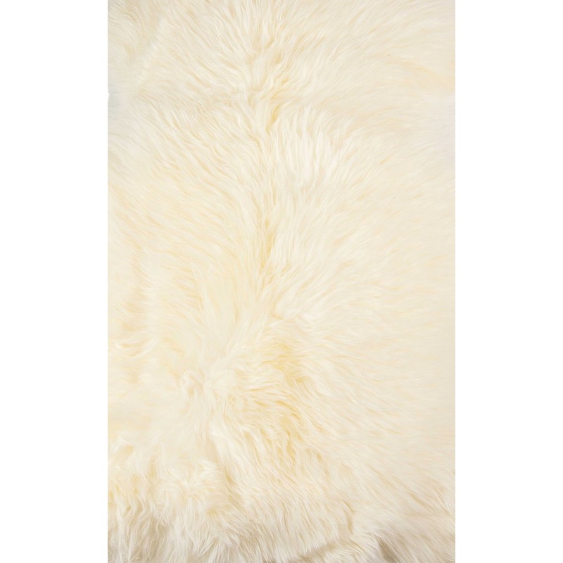 “2′ x 3′ Ivory Shag Area Rug – Luxuriously Soft & Stylish Home Decor Accent”