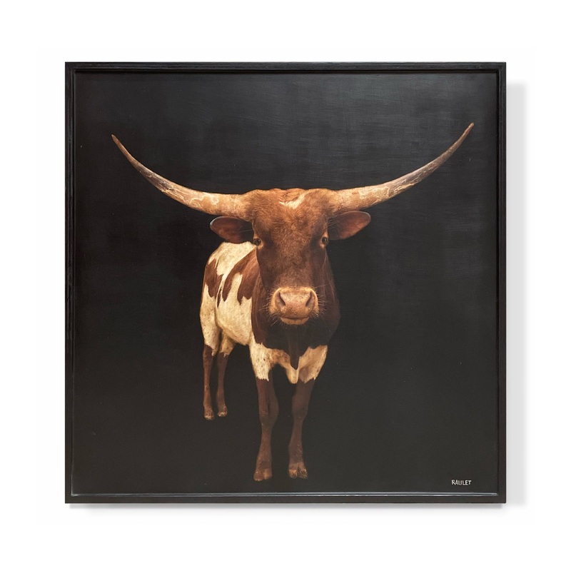 “Longhorn”