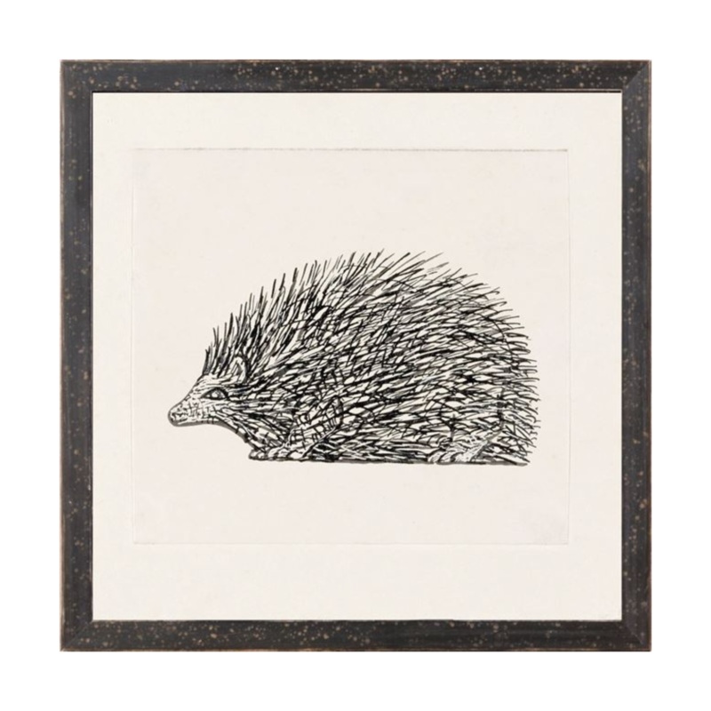 “Hand Drawn Hedgehog” Framed Art Print