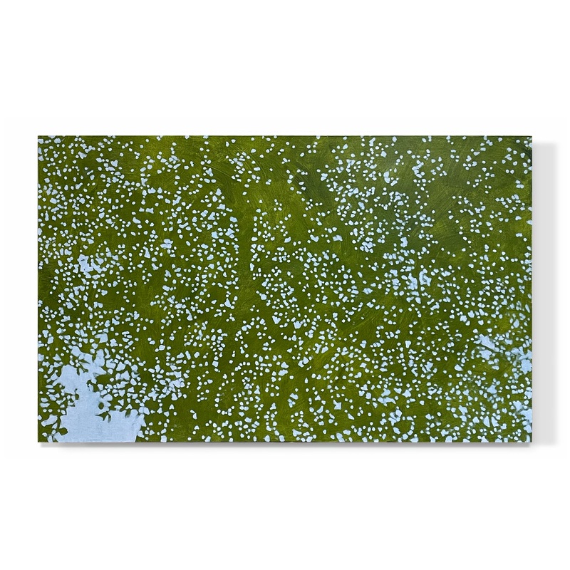 “Sunlit Canopy 02”