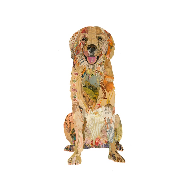 “Blair – Golden Retriever” Archival Print