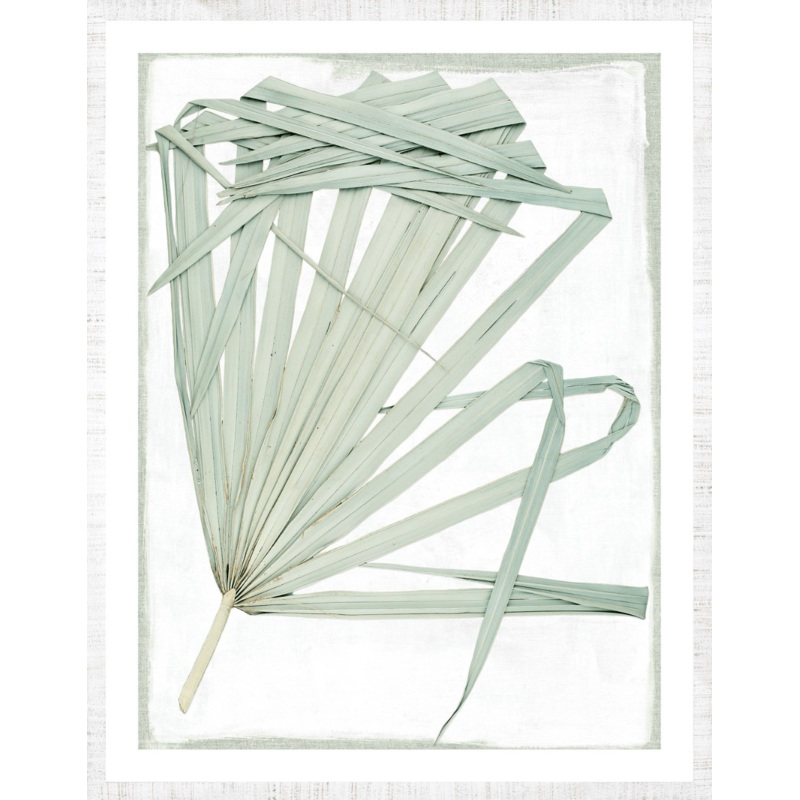 Pressed Palm 1 – Biscay